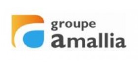 Amallia groupe